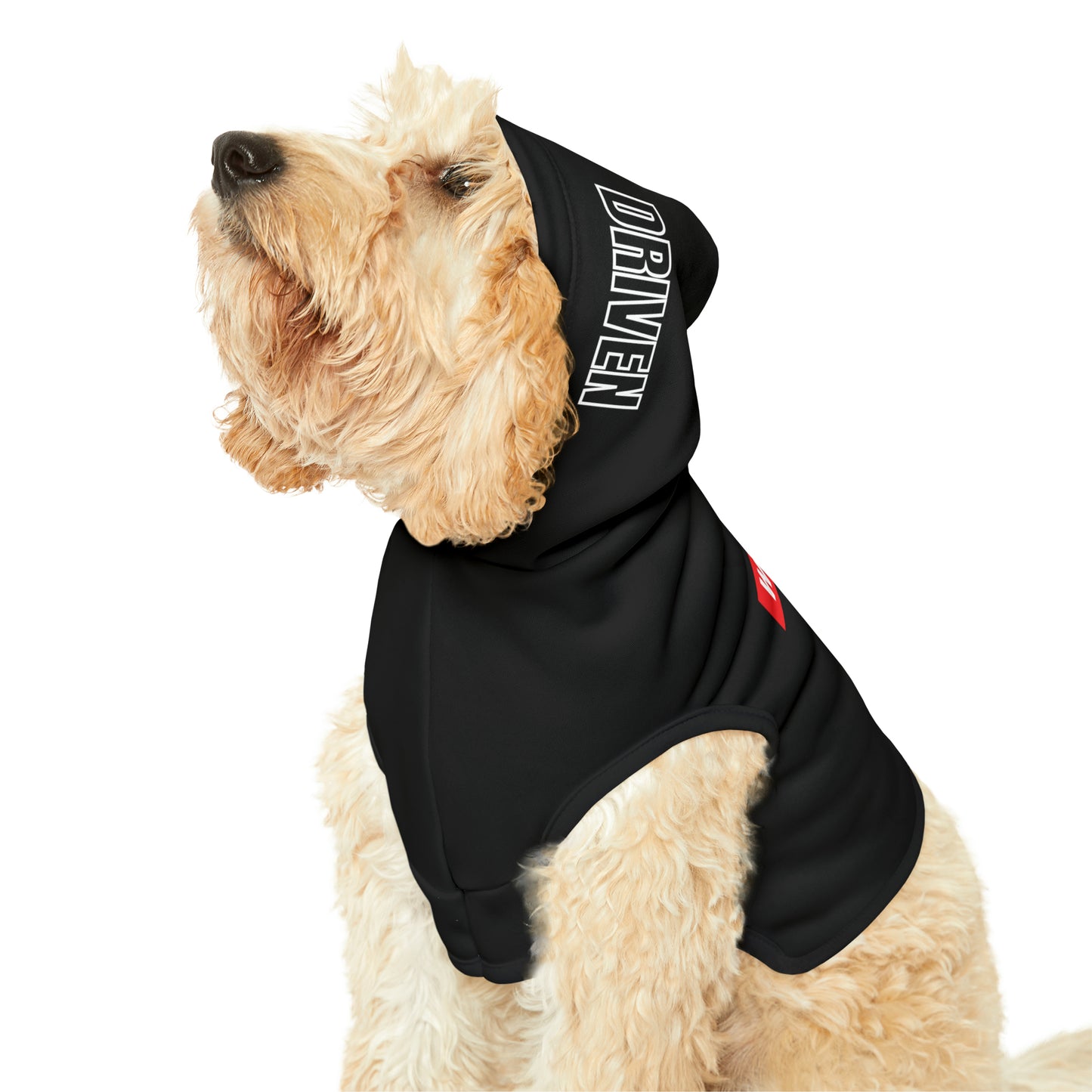 Coach's Best Assistant - Pet Hoodie